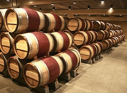 Barriques per l'affinamento del vino